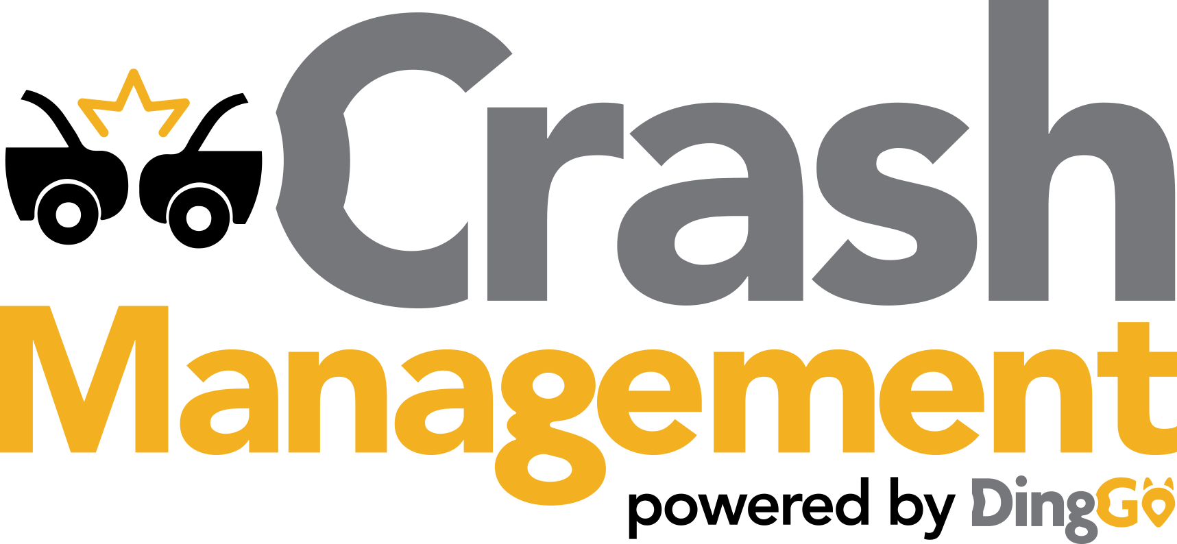 Crash Management