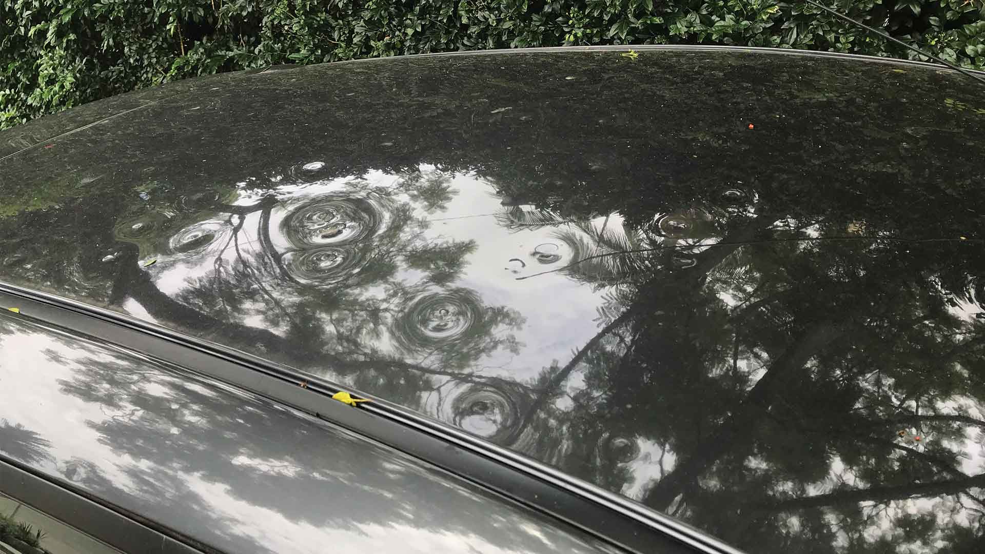 Hail Damaged Car Repairs Panel Beating Services